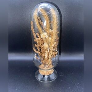 Elegant Glass Dome with Dried Floral Arrangement